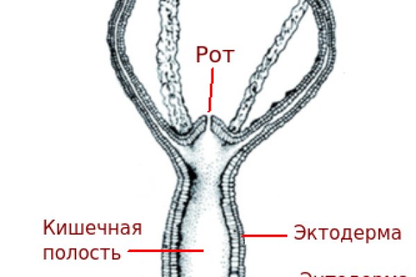 Полезные сайты тор