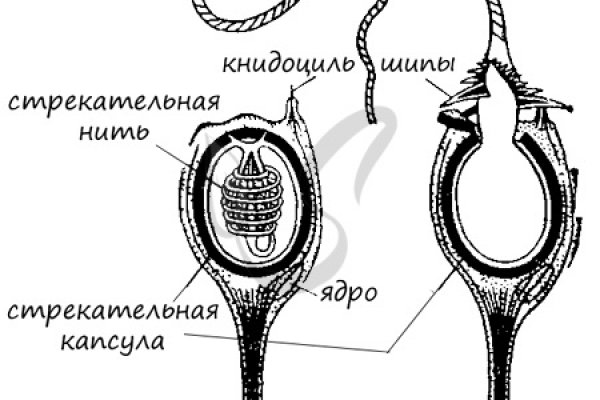 Kra25gl